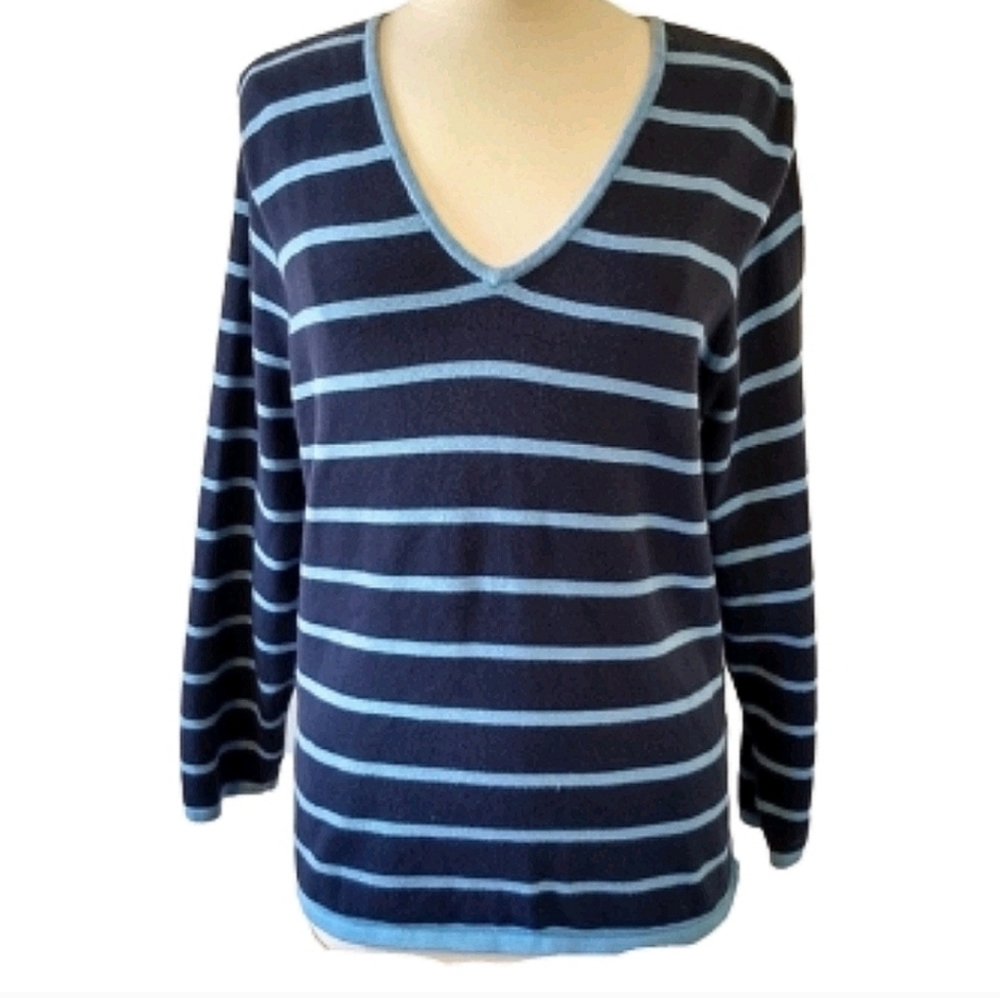 IZOD V-Neck Sweater 1X Blue Striped Long Sleeve